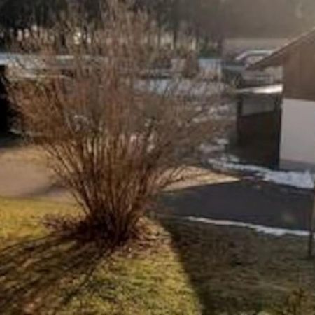 Ferienwohnung Zur Dicken Berta Wolfegg Εξωτερικό φωτογραφία